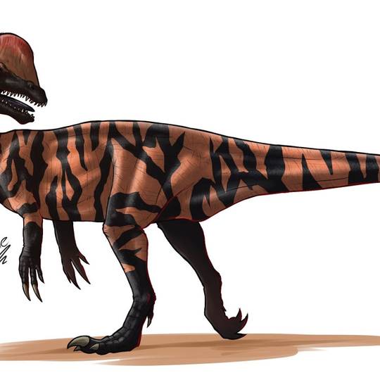 ディロフォサウルス でぃろふぉさうるす とは ピクシブ百科事典