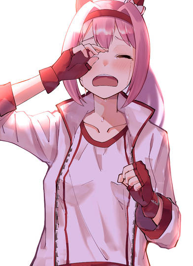 有馬チャレンジ とれーなーたちのたかきかべ とは ピクシブ百科事典