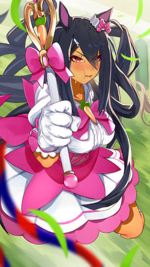魔法ウマ少女ヒシアマゾン まほううましょうじょひしあまぞん とは ピクシブ百科事典