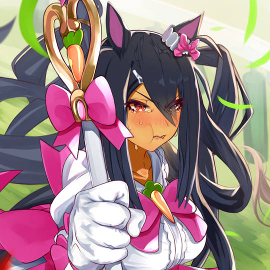 魔法ウマ少女ヒシアマゾン まほううましょうじょひしあまぞん とは ピクシブ百科事典