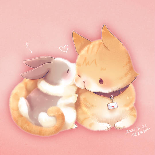 なにこれかわいい なにこれかわいい とは ピクシブ百科事典