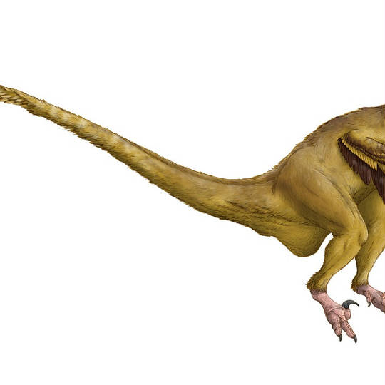 ヴェロキラプトル ゔぇろきらぷとる とは ピクシブ百科事典