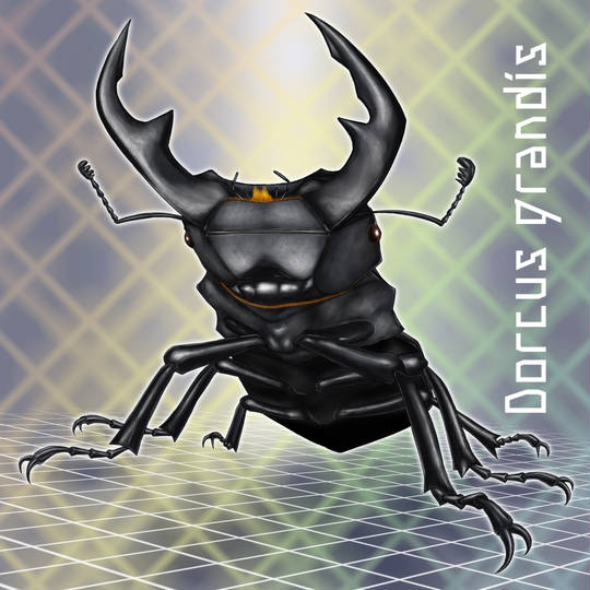 ムシキング 2003春 夏 初期 グランディスオオクワガタ 準準美品級