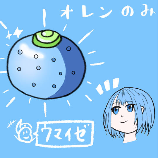 オレンの実 おれんのみ とは ピクシブ百科事典