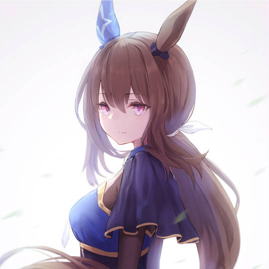 アヤベさん (あやべさん)とは【ピクシブ百科事典】