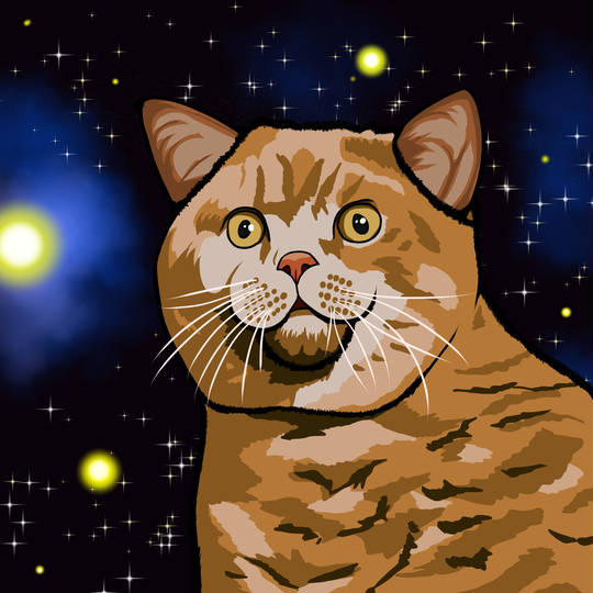 スペースキャット すぺーすきゃっと とは ピクシブ百科事典