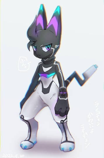 ライデェン らいでぇん とは ピクシブ百科事典