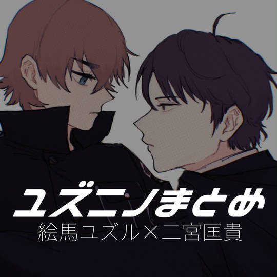 ユズニノ (ゆずにの)とは【ピクシブ百科事典】