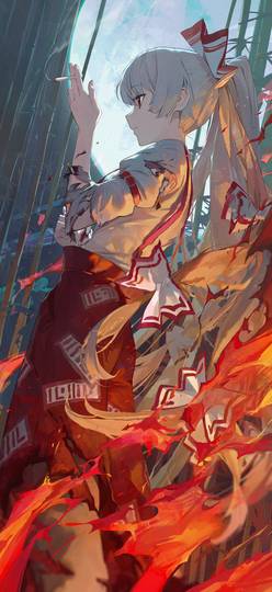 藤原妹紅 ふじわらのもこう とは ピクシブ百科事典 藤原妹紅 ふじわらのもこう とは ピクシブ百科事典