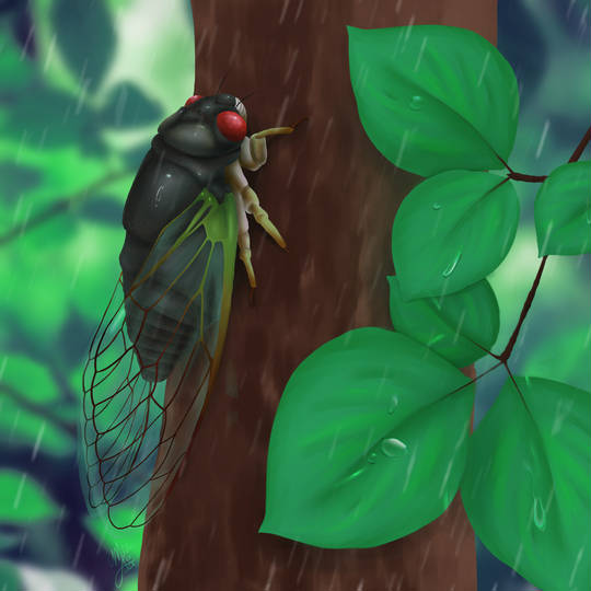 相殺 Cicada3301 (しけいださんさんぜろいち)とは【ピクシブ百科事典】