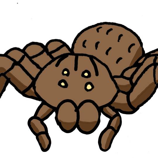 ルブロンオオツチグモ (るぶろんおおつちぐも)とは【ピクシブ百科事典】