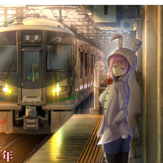 あいの風 プラス300円で爆走！？】朝夕の「あいの風ライナー」どっちも