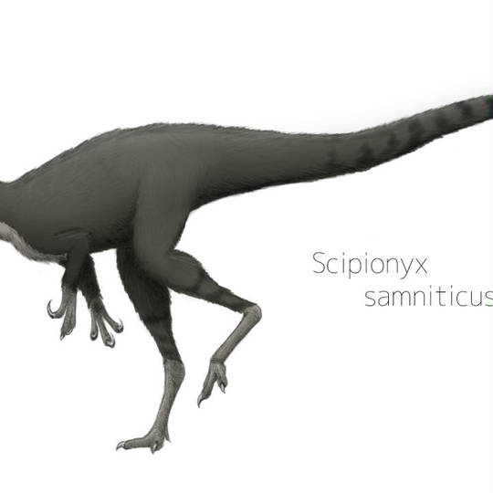 スキピオニクス Extinct Creatures」: スキピオニクス Scipionyx