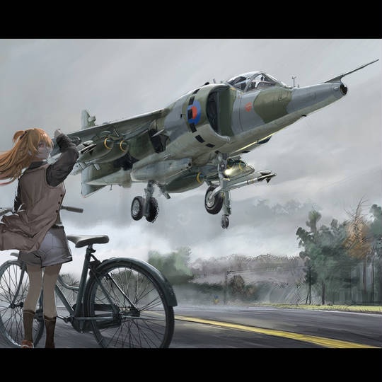 ハリアー (はりあー)とは【ピクシブ百科事典】