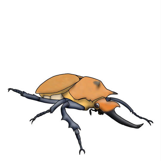 エレファスゾウカブト (えれふぁすぞうかぶと)とは【ピクシブ百科事典】