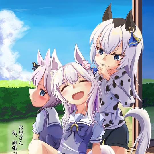 ブチコ(ウマ娘) (うまむすめのぶちこ)とは【ピクシブ百科事典】