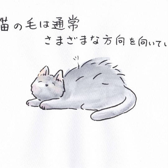 猫踏んじゃった Pokémon KidsTV | Neko Funjatta-Flea Waltz, Chopsticks