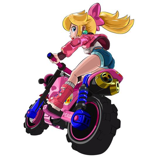 ラリーバイク (らりーばいく)とは【ピクシブ百科事典】