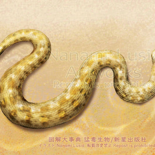 ガラガラヘビ様 ヘビ毒 Crotalus atrox (ニシダイヤガラガラヘビ)由来 | Sigma
