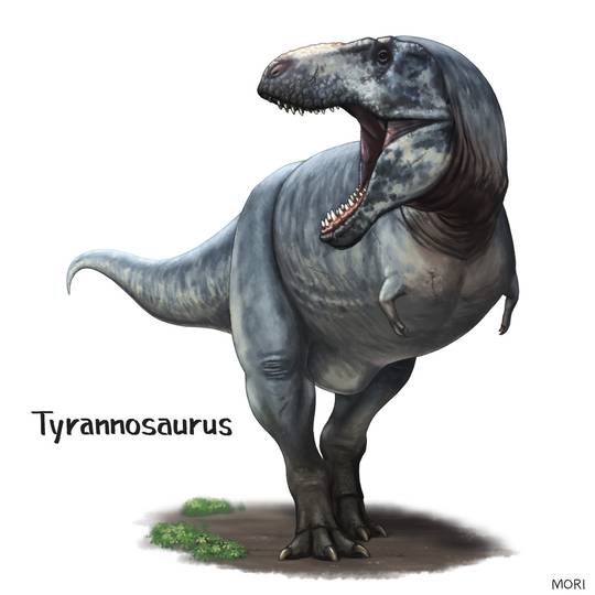 ティラノサウルス (てぃらのさうるす)とは【ピクシブ百科事典】