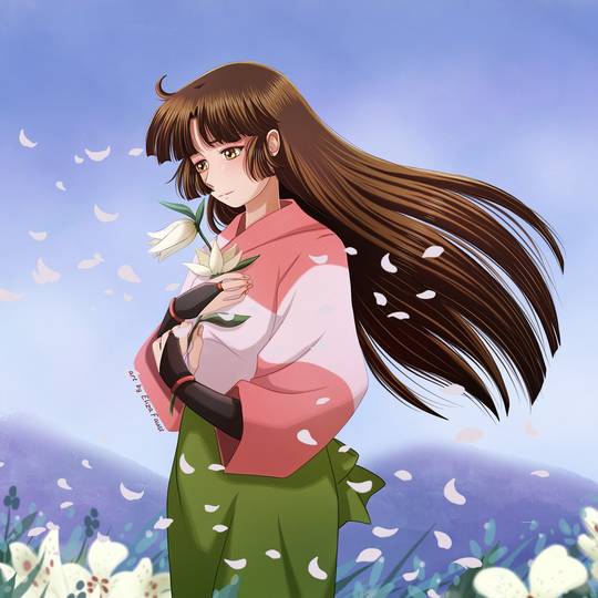 犬夜叉〜呪詛の仮面〜 (いぬやしゃじゅそのかめん)とは【ピクシブ百科