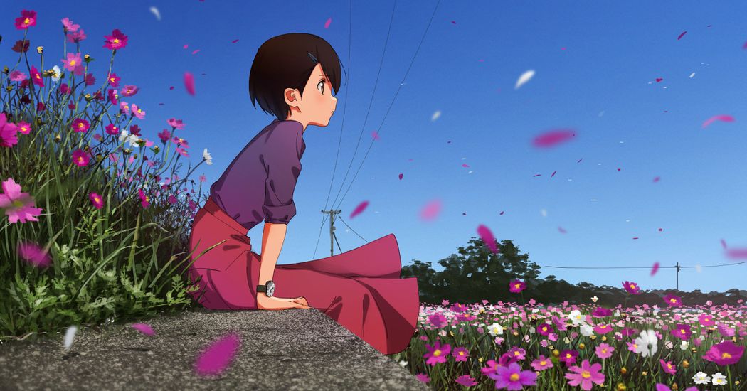 The cherry blossoms of autumn are in full bloom. Drawings of Cosmos Flowers