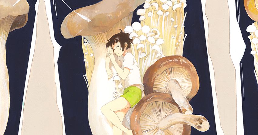 Drawings of Mushrooms - Fairy tale mushrooms!?